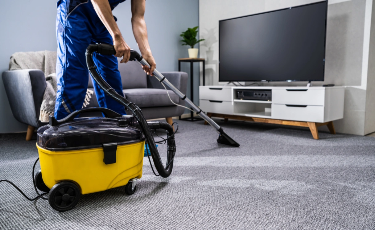 Extract Curtain Cleaning Mccrae Contact Office